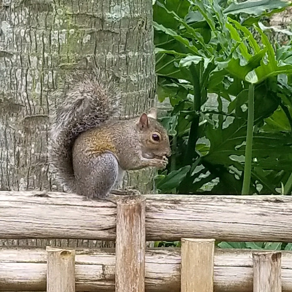 Meet your Posher, Annetta